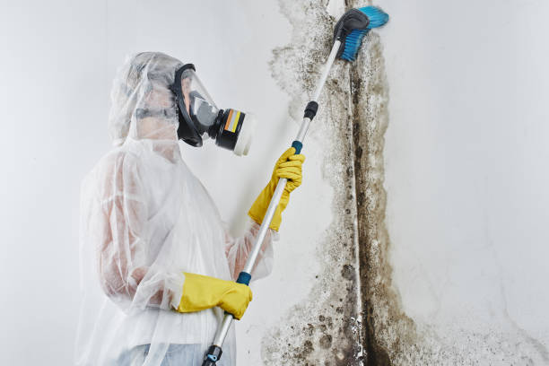 Best Crawl Space Mold Removal  in Ashaway, RI