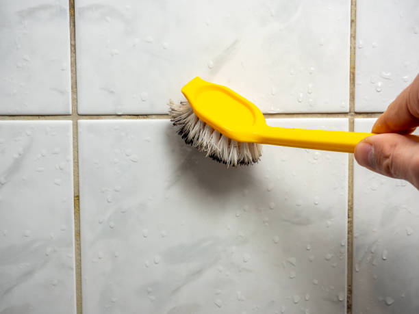 Best Mold Remediation  in Ashaway, RI