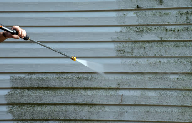 Best Residential Mold Removal  in Ashaway, RI