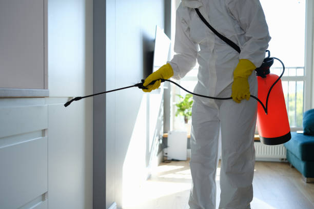Professional Mold Removal in Ashaway, RI