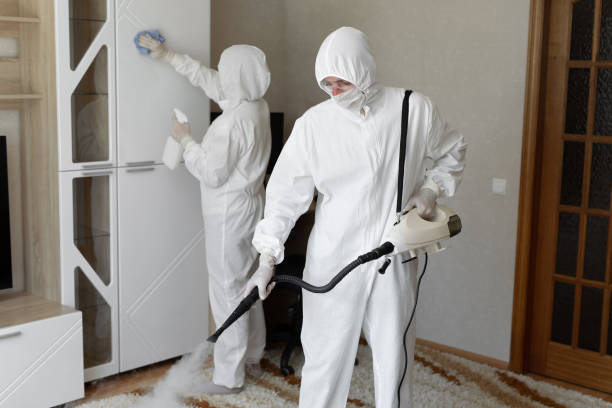 Best Mold Damage Repair  in Ashaway, RI