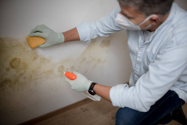 Best Crawl Space Mold Removal  in Ashaway, RI